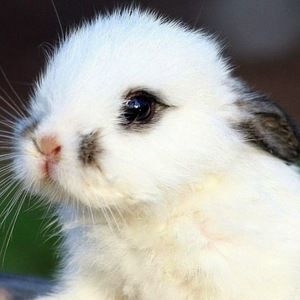 Meet your Posher, Kaden